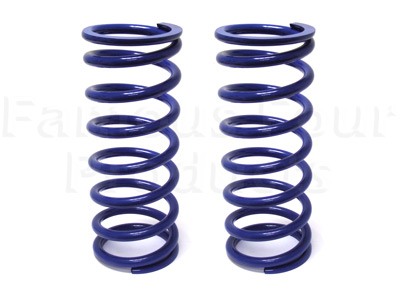 Coil Springs - Rear - Heavy Duty - Land Rover 90/110 & Defender (L316) - Suspension Parts