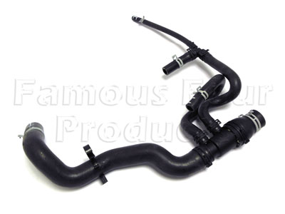 FF002992 - Bottom Hose - Land Rover Freelander