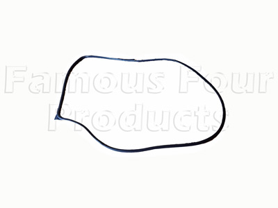 Rear Side Door Surround Seal - Primary - Land Rover Freelander (L314) - Body