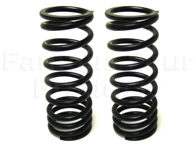 Coil Springs - Rear - Heavy Duty 