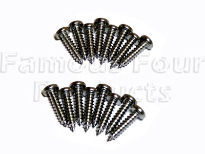 FF006122 - Stainless Steel Light Screw Set - Land Rover 90/110 & Defender