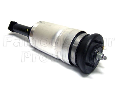 FF007093 - Shock Absorber and Air Spring - Land Rover Discovery 3