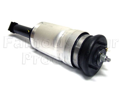 Shock Absorber and Air Spring - Land Rover Discovery 3 (L319) - Suspension & Steering