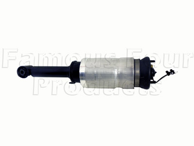 Damper and Air Spring Assembly - Front - Range Rover Sport 2010-2013 Models (L320) - Suspension & Steering