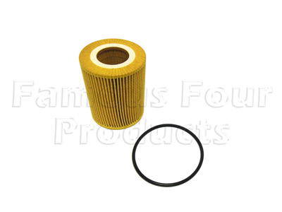 Oil Filter Element - Range Rover Sport 2014 on (L494) - General Service Parts