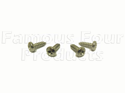 Stainless Steel Screw Kit - for Headlamp Surround Trim Panel - Land Rover 90/110 & Defender (L316) - Body Fittings