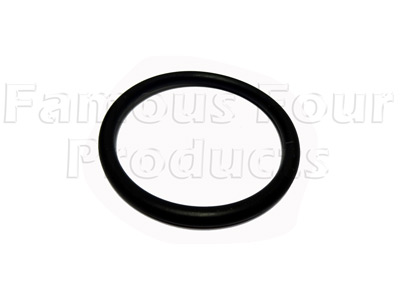 Seal - Fuel Filler Neck - Classic Range Rover 1970-85 Models - Fuel & Air Systems