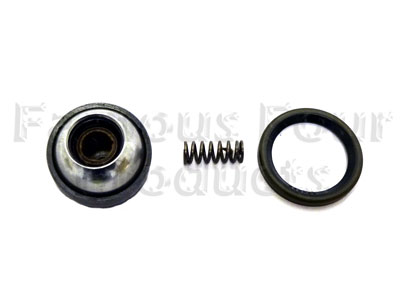 FF010214 - Double Cardan Ball Seat Repair Kit - Front Propshaft - Land Rover Discovery Series II