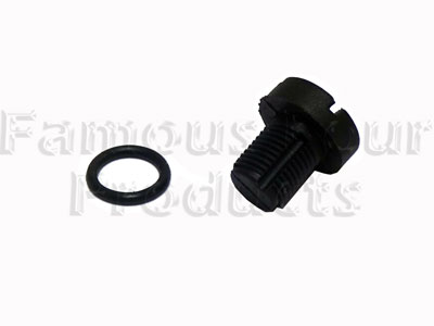 Bleed Screw - Range Rover Third Generation up to 2009 MY (L322) - Cooling & Heating