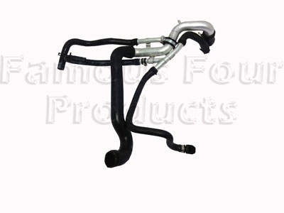 Hose Assembly - Radiator Bottom - Range Rover L322 (Third Generation) up to 2009 MY - Cooling & Heating