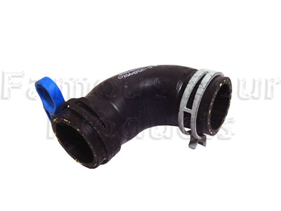Hose - Thermostat to Cylinder Head - Range Rover L322 (Third Generation) up to 2009 MY - Cooling & Heating