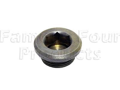 Drain Plug - Axle - Range Rover Third Generation up to 2009 MY (L322) - Propshafts & Axles
