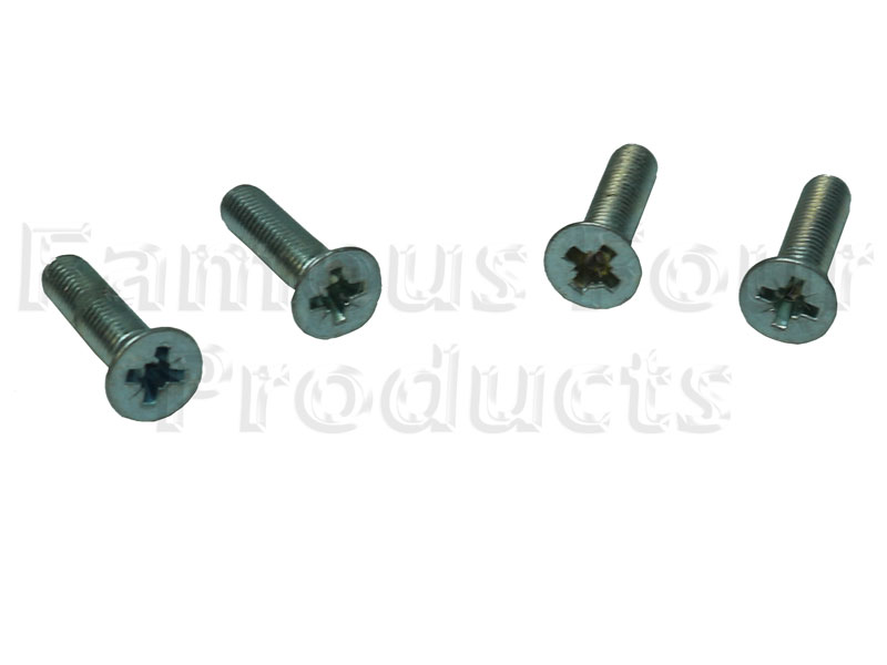 Screw for Striker Pin Plates - Classic Range Rover 1986-95 Models - Tailgates & Fittings