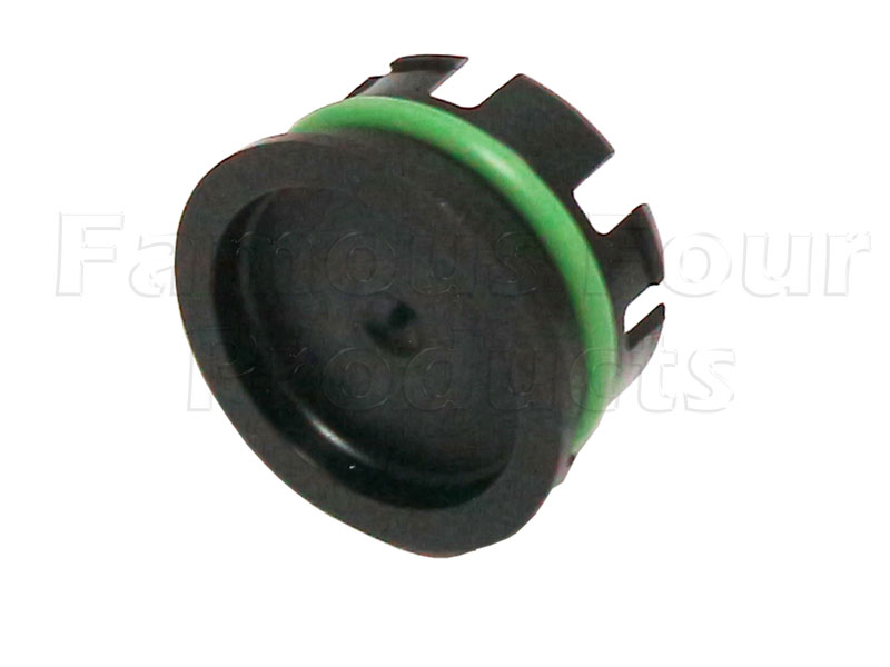 FF013036 - Blanking Plug - Chain Drive - Land Rover Discovery Sport