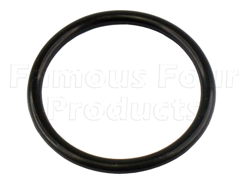 O Ring - Oil Filler Cap
