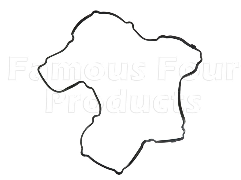 Camshaft Cover Gasket - Land Rover Discovery 3 (L319) - 4.4 V8 Petrol (AJ) Engine