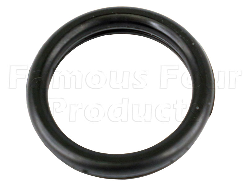 Spark Plug Aperture Gasket - Land Rover Discovery 3 (L319) - 4.4 V8 Petrol (AJ) Engine