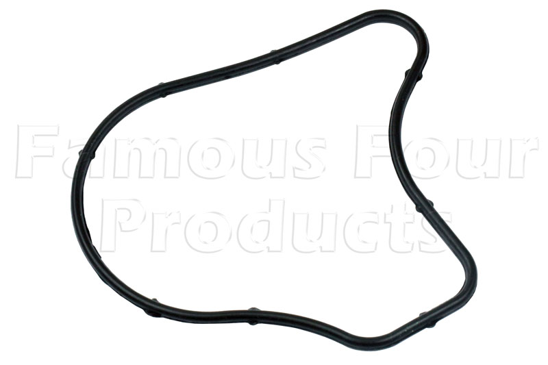 Seal - Brake Vacuum Pump - Land Rover Discovery 3 (L319) - Brakes