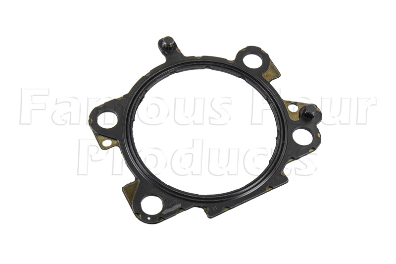 FF016919 - Gasket - Throttle Body to Inlet Manifold - Range Rover Velar